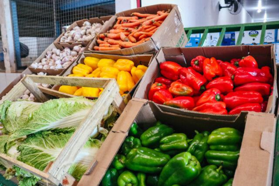 Agricultores familiares no Nortão concorrem em programa de venda de alimentos; R$ 3,2 milhões