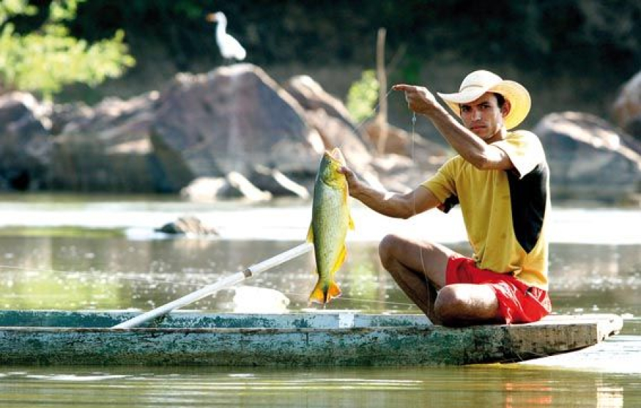 Pesca é liberada em Mato Grosso a partir deste sábado; 12 espécies proibidas